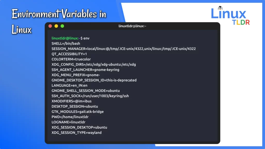 environment variables linux