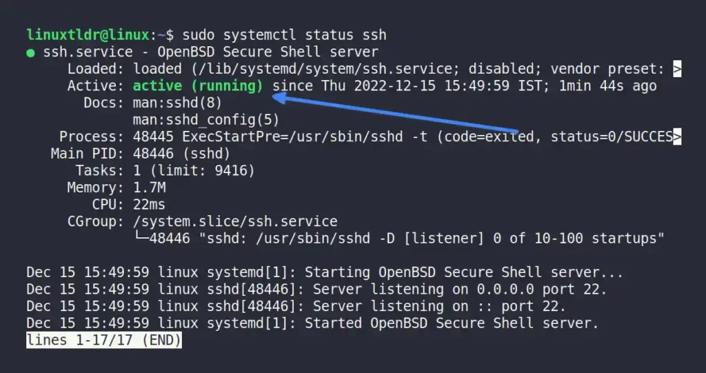 Checking the status of the SSH server (after starting it)