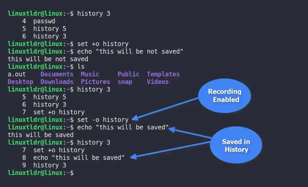 Enabling the future commands recording in history