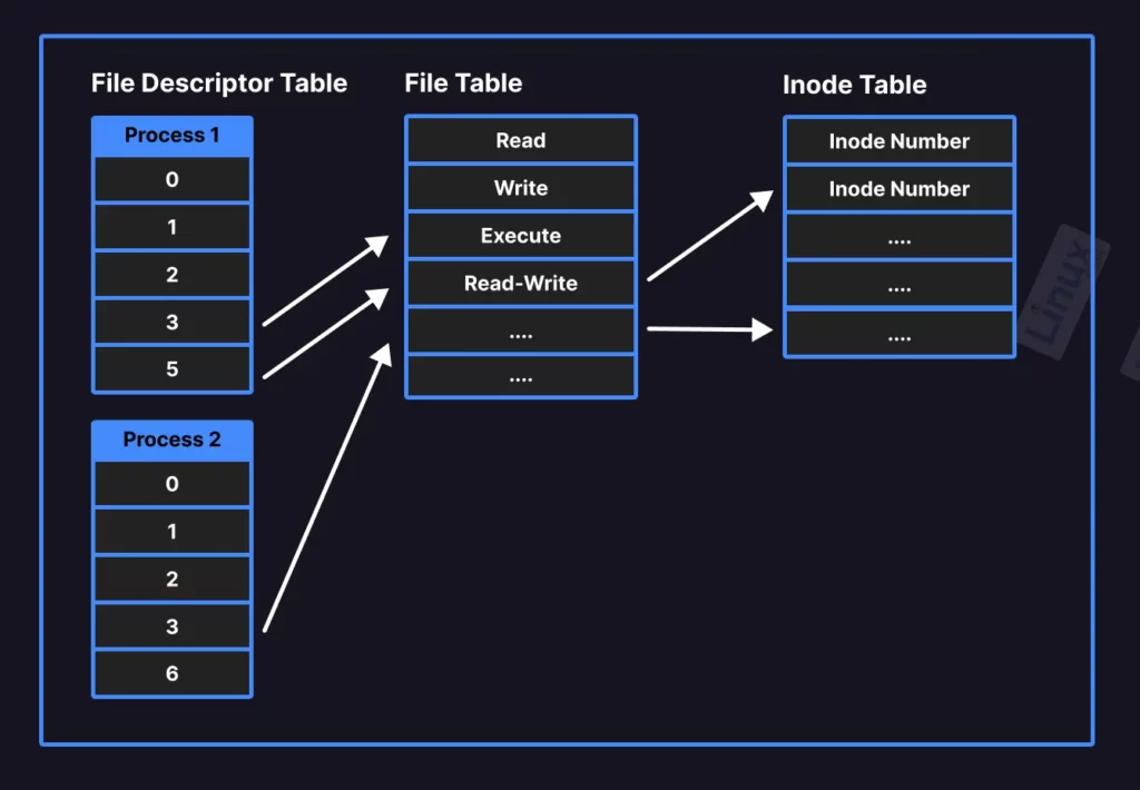 check file descriptors linux