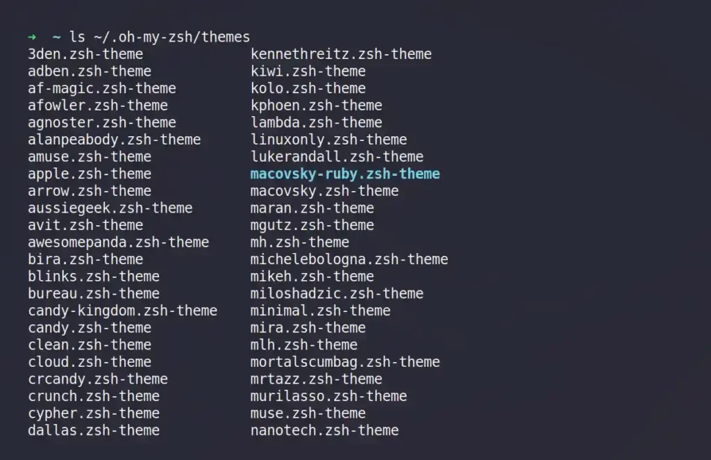 Oh-My-Zsh theme directory