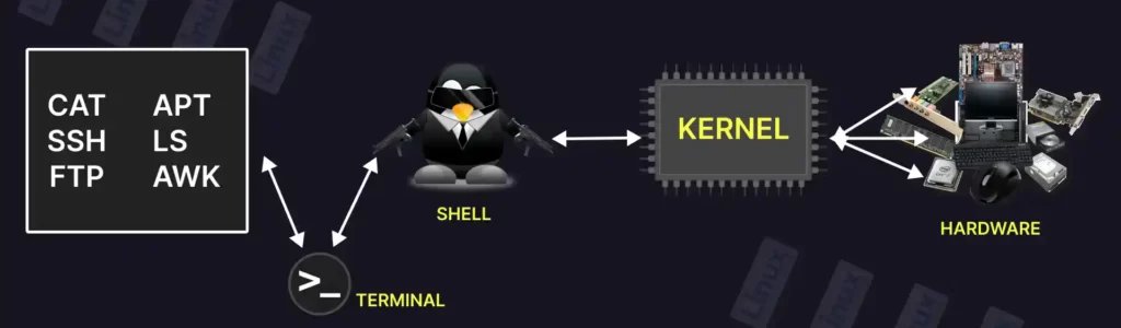 Working of shell in system