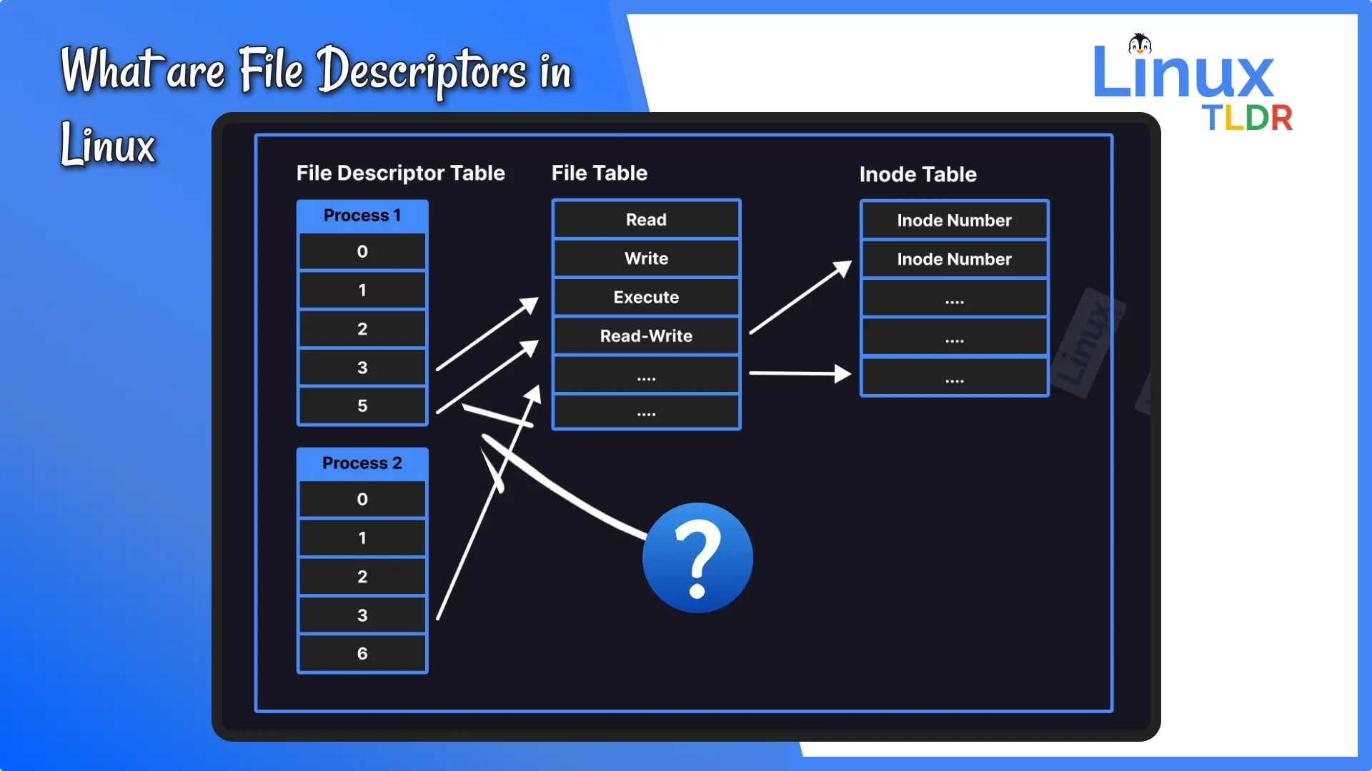 What are File Descriptors in Linux