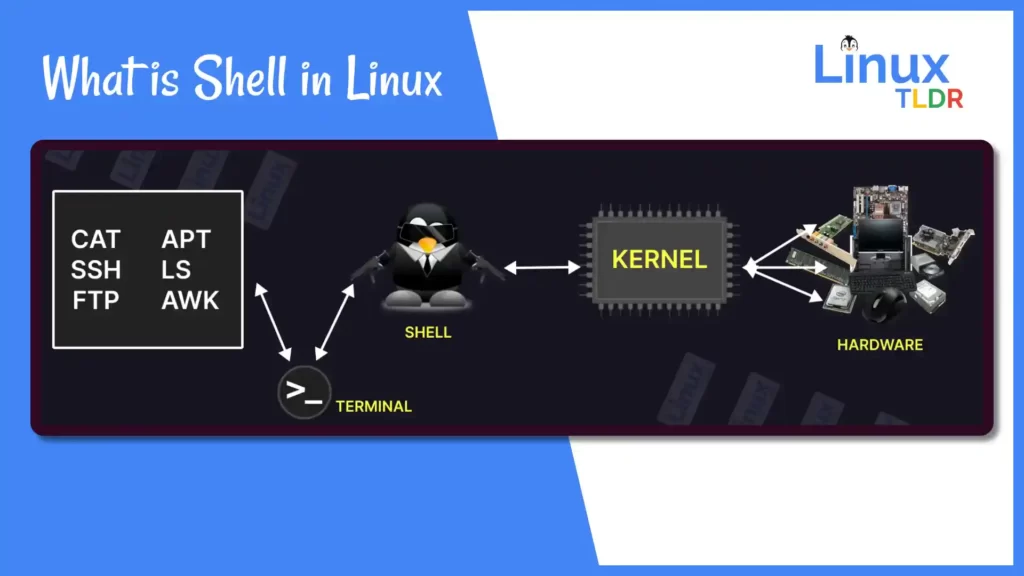 shell in linux