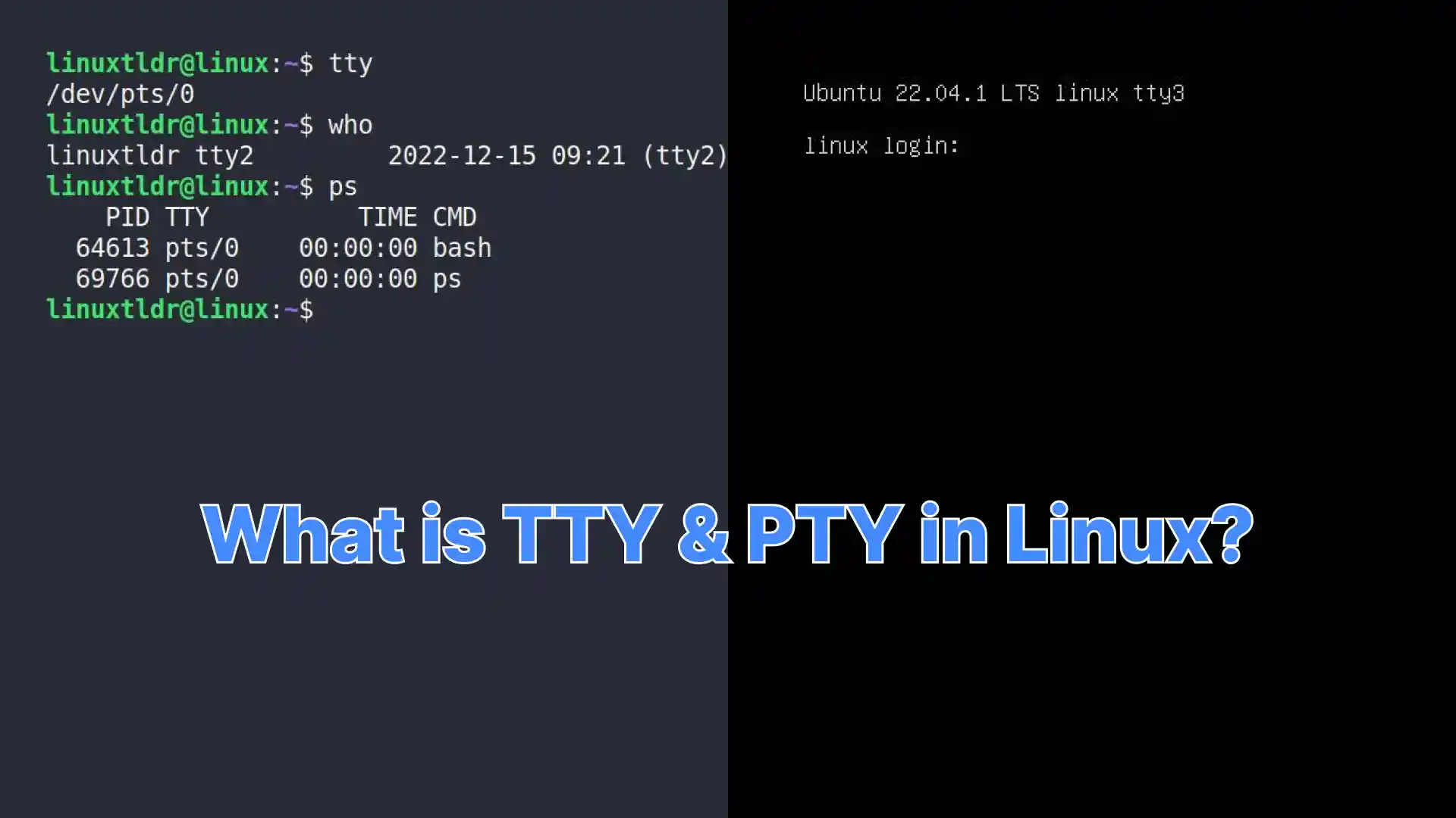 What Is TTY And PTY On Linux 