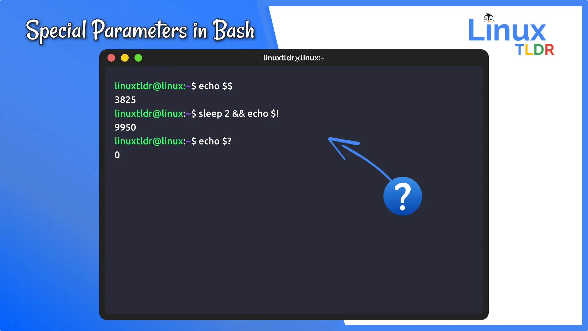 list-of-special-parameters-in-bash-with-examples