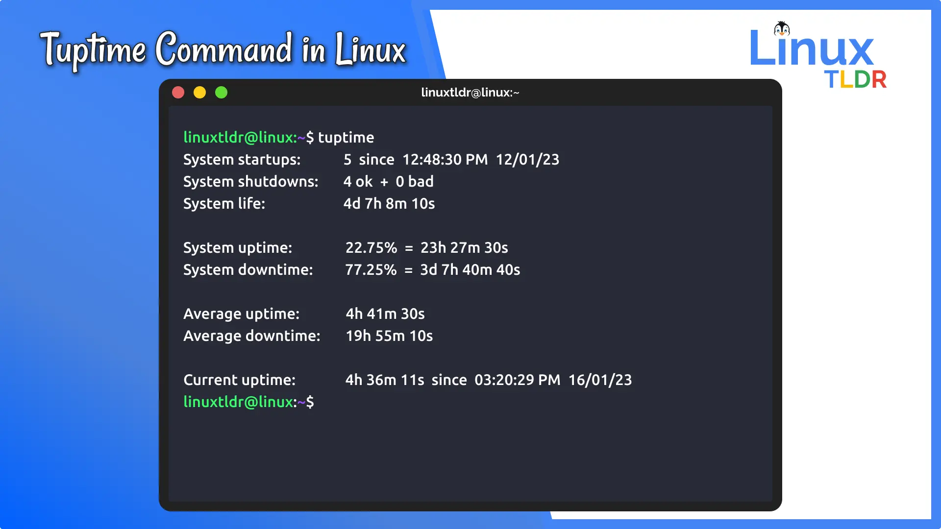 Check historical and statistical uptime of linux
