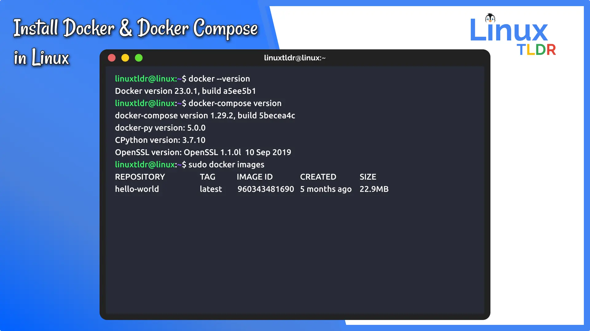 docker and docker compose