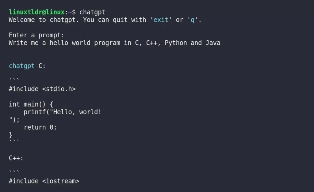 Asking programming questions in the ChatGPT CLI Prompt