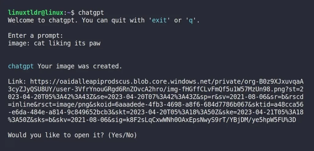 Generating an image of “Cat Liking its Paw” in ChatGPT CLI Prompt