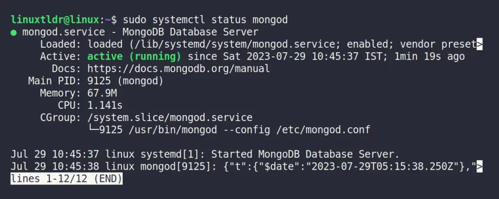Re-checking the status of the MongoDB service
