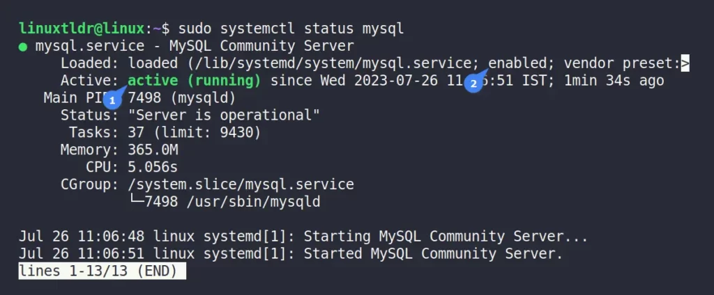 Re-checking the status of the MySQL service