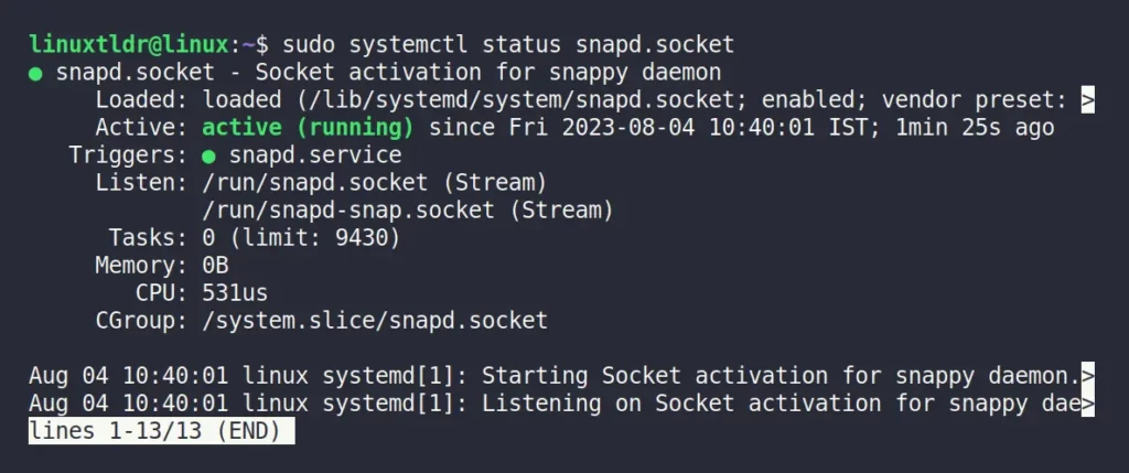 Checking the status of the Snapd service