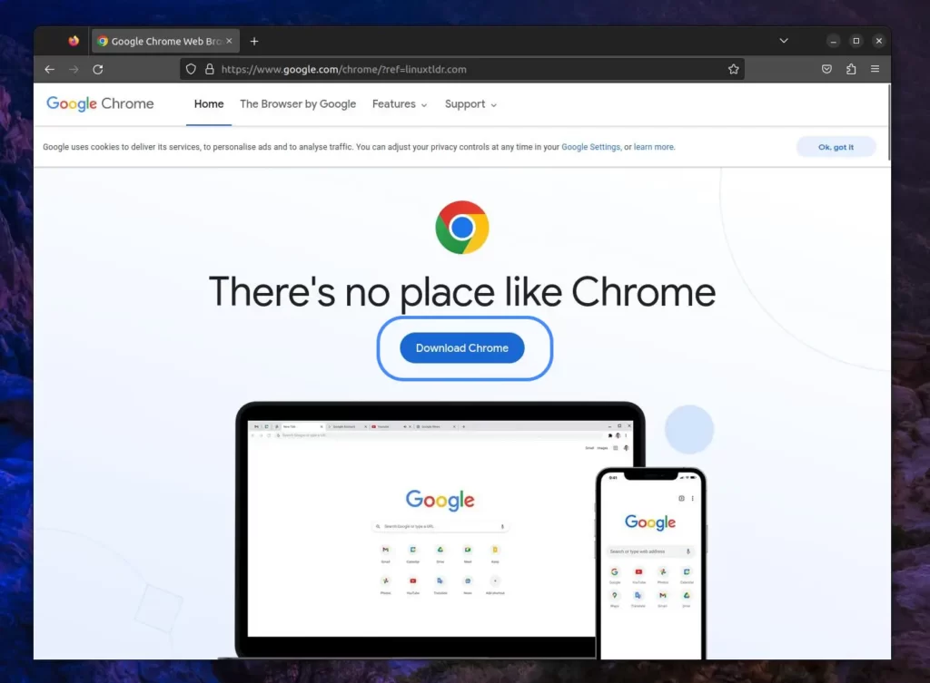 Google Chrome Website