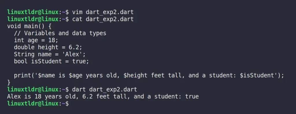 Running the second Dart program on Linux