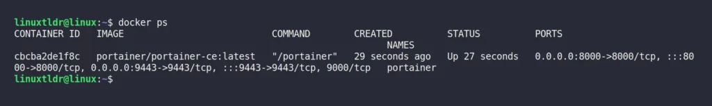 Checking the status of Portainer docker container