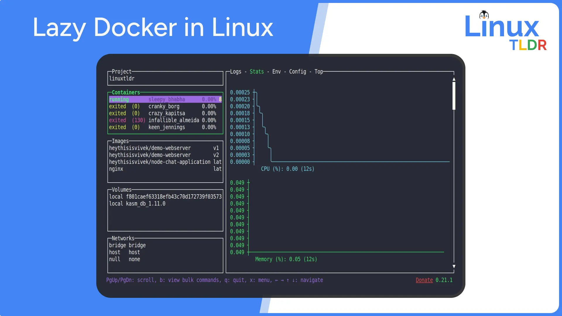 lazy docker