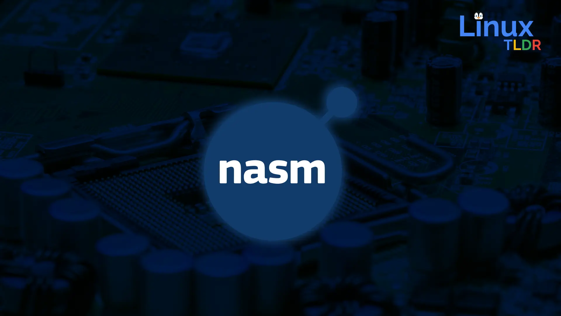 Installing NASM and Writing Your First Assembly Program on Linux