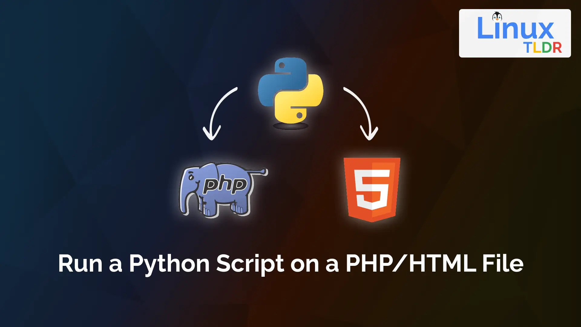run python script on php or html file
