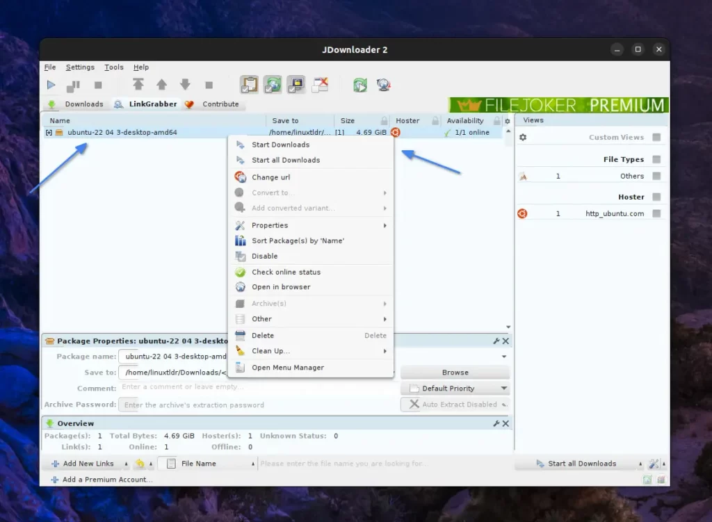Downloading files in JDownloader