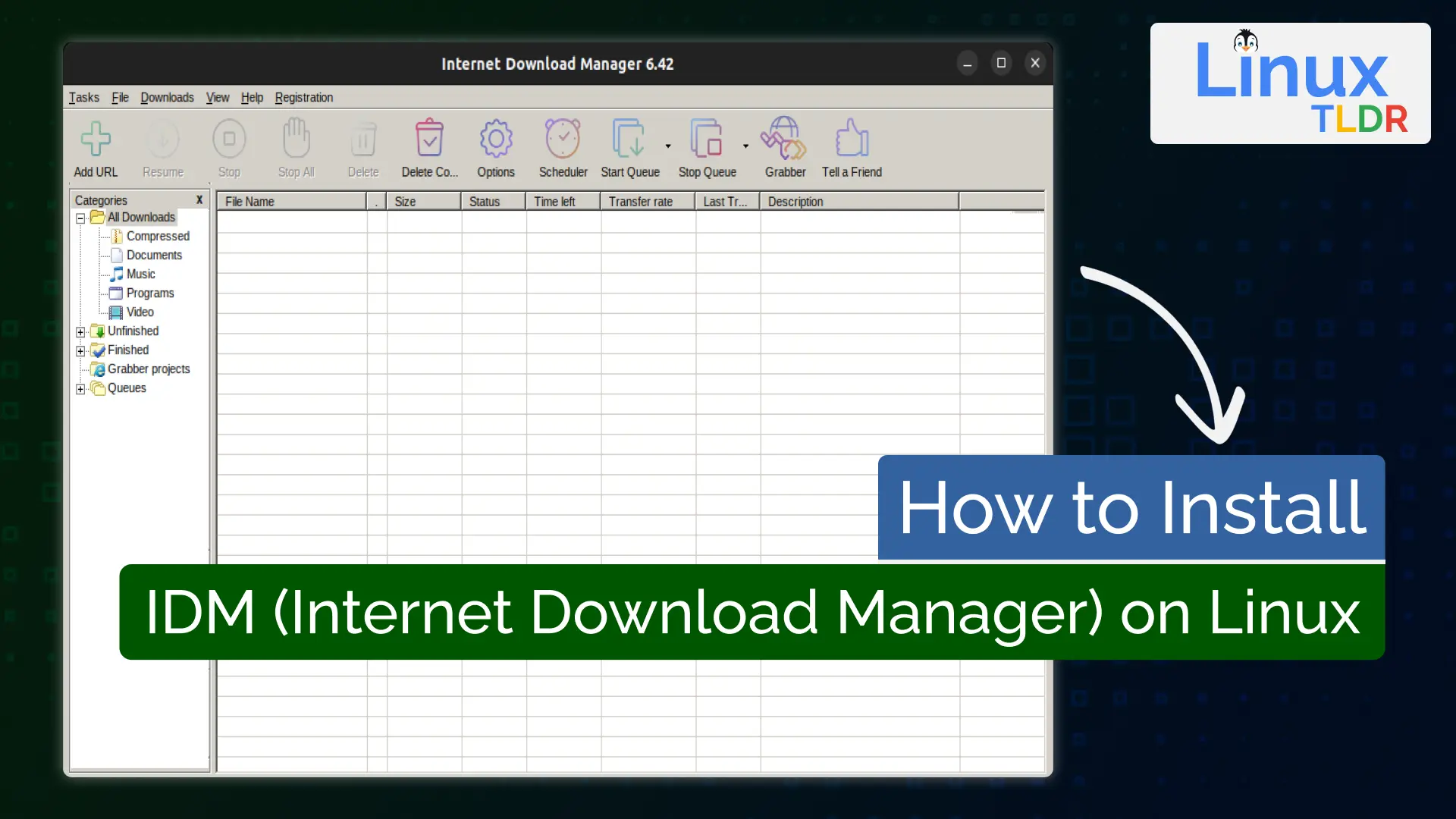 IDM (internet download manager)