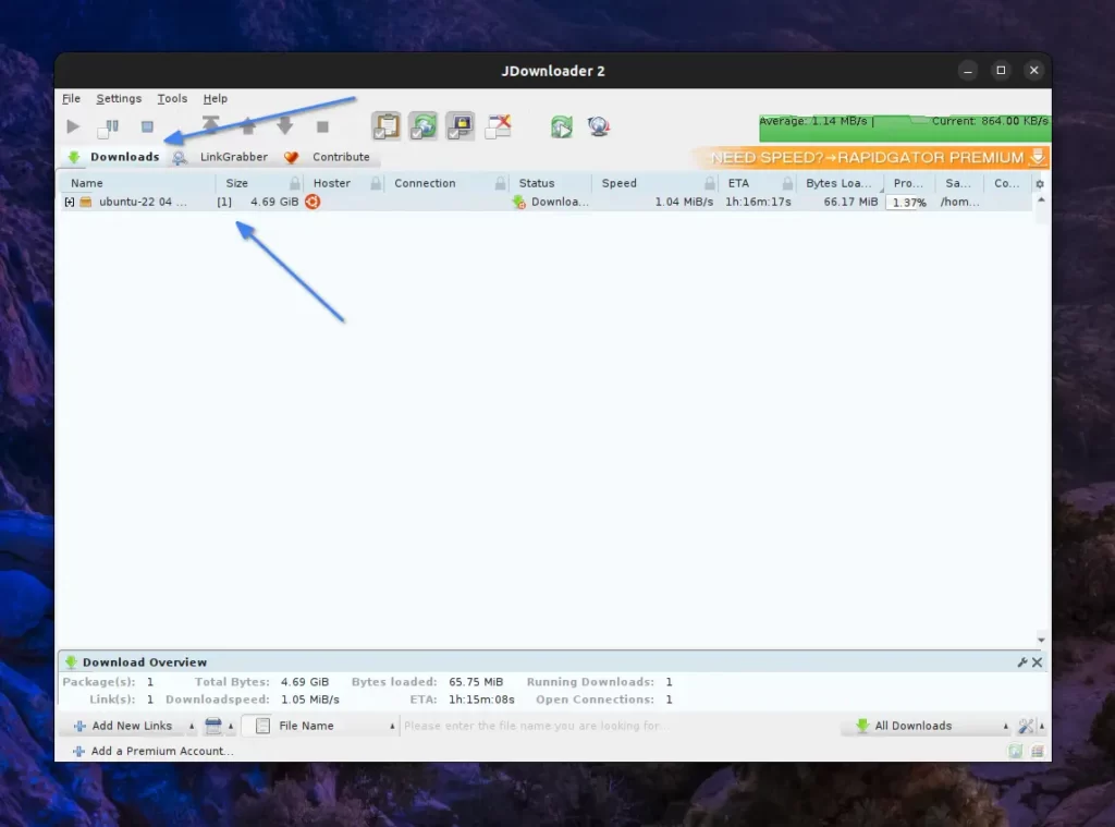 JDownloader begin the download process