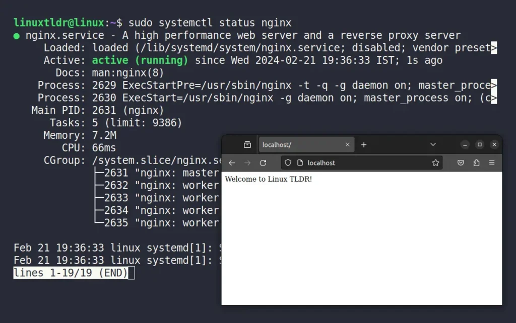 checking the status of nginx server