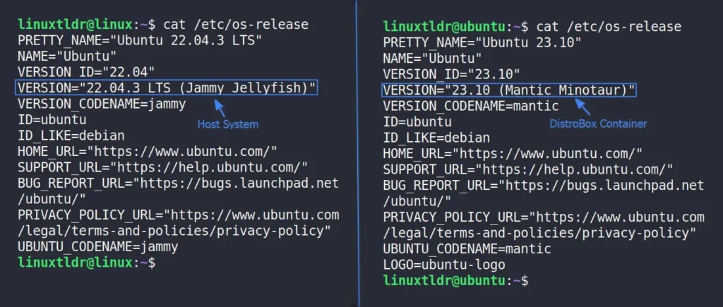 comparing host system and distrobox container