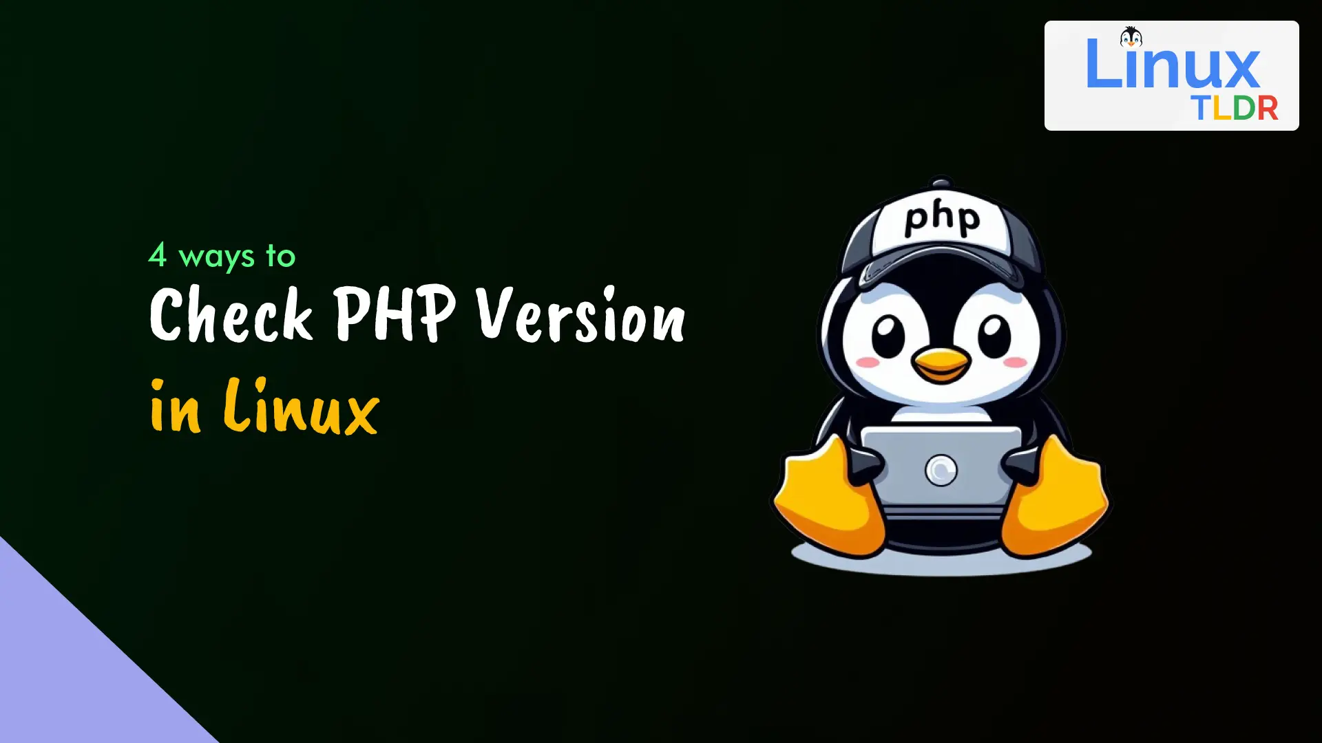 check php version in linux