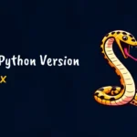 check python version in linux