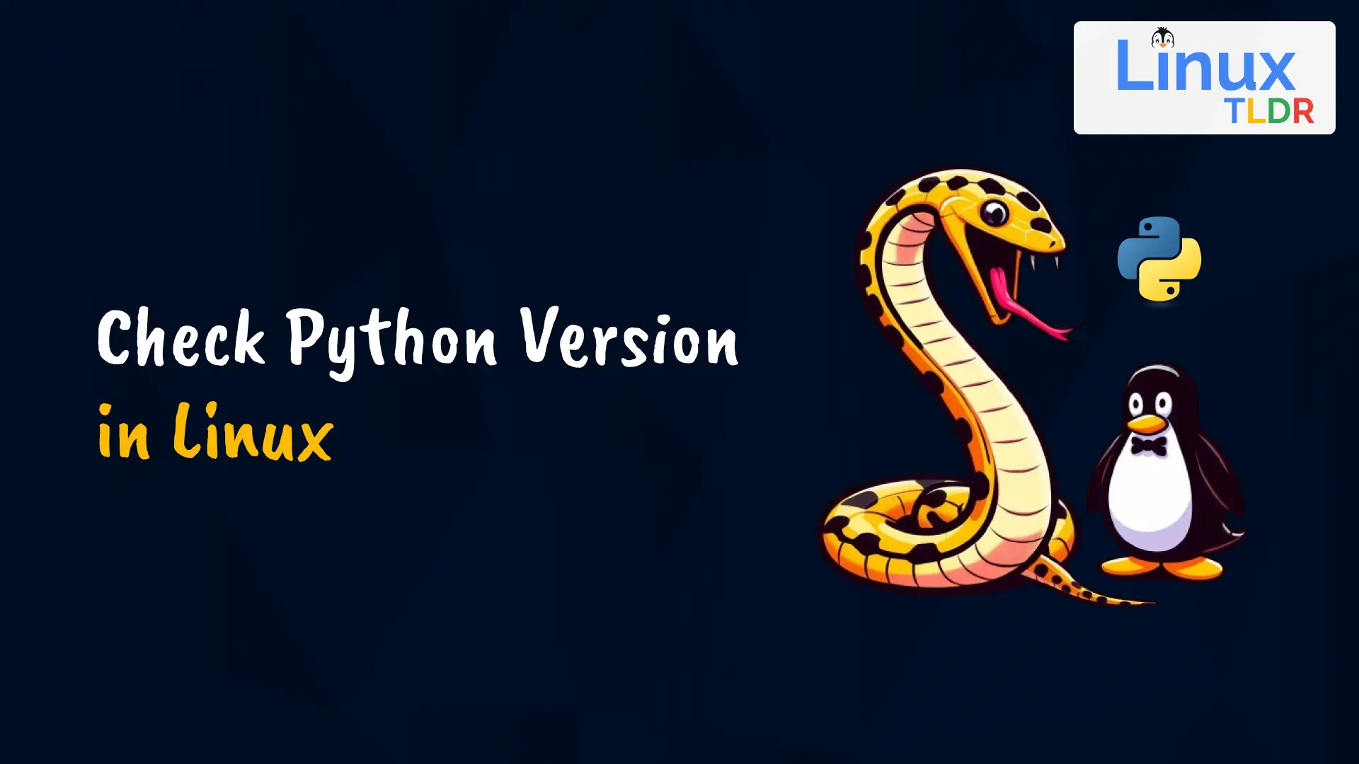 check python version in linux