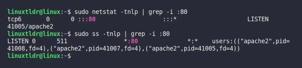 find process name and id using the port number