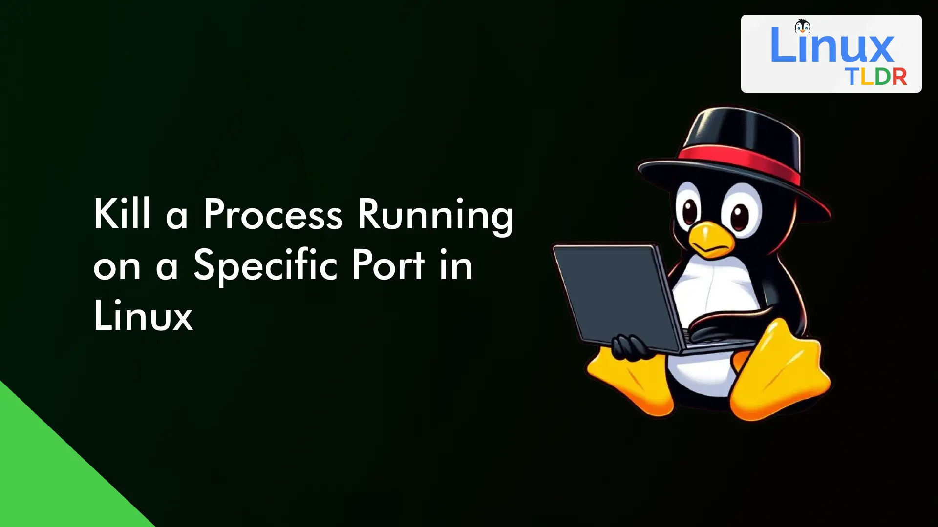kill a process running on a specific port in linux